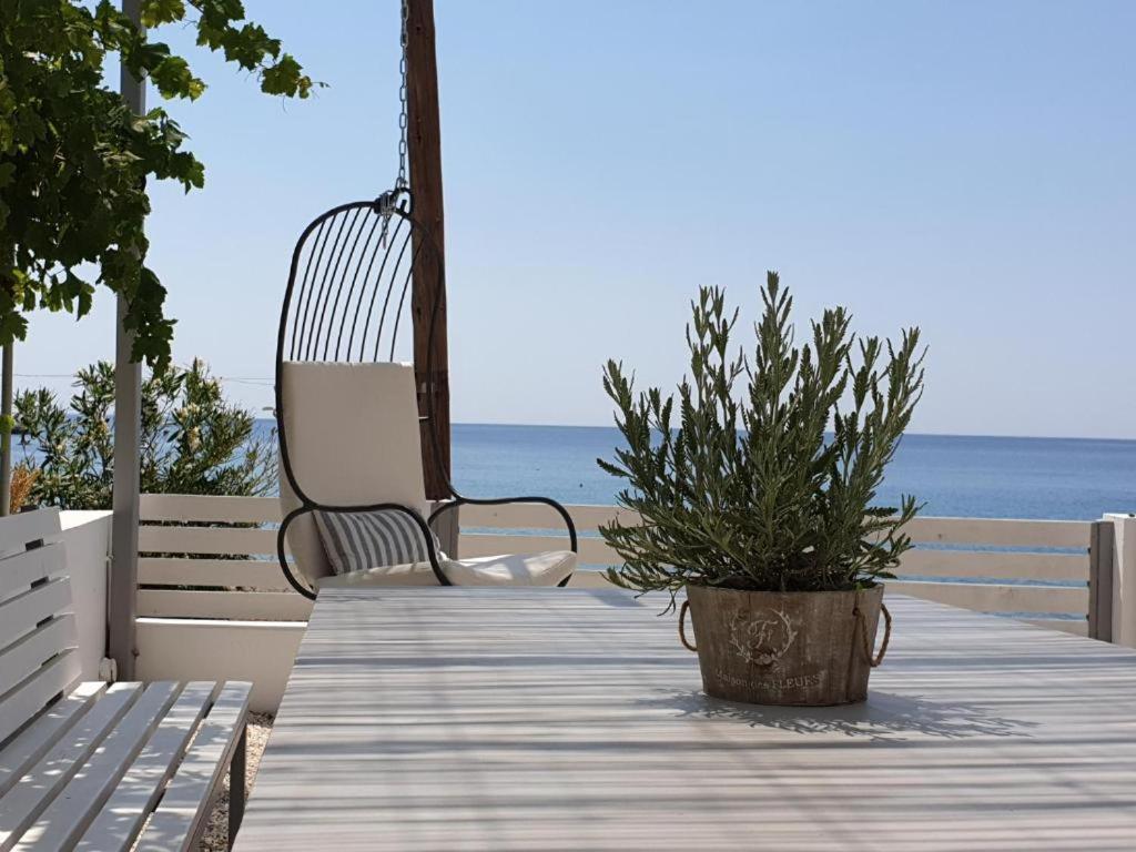 Summer Vibes Achlia Dış mekan fotoğraf